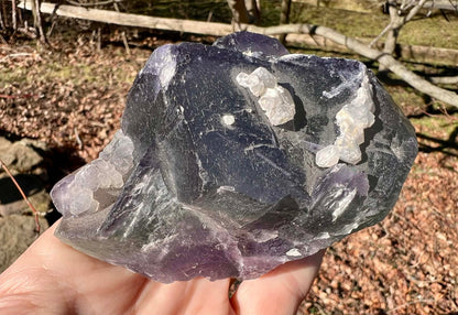 Rainbow Fluorite Specimen - Gem Realm 