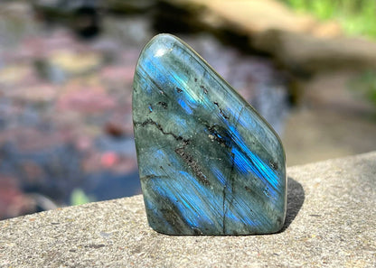 Labradorite Freeform - Mini - Gem Realm 