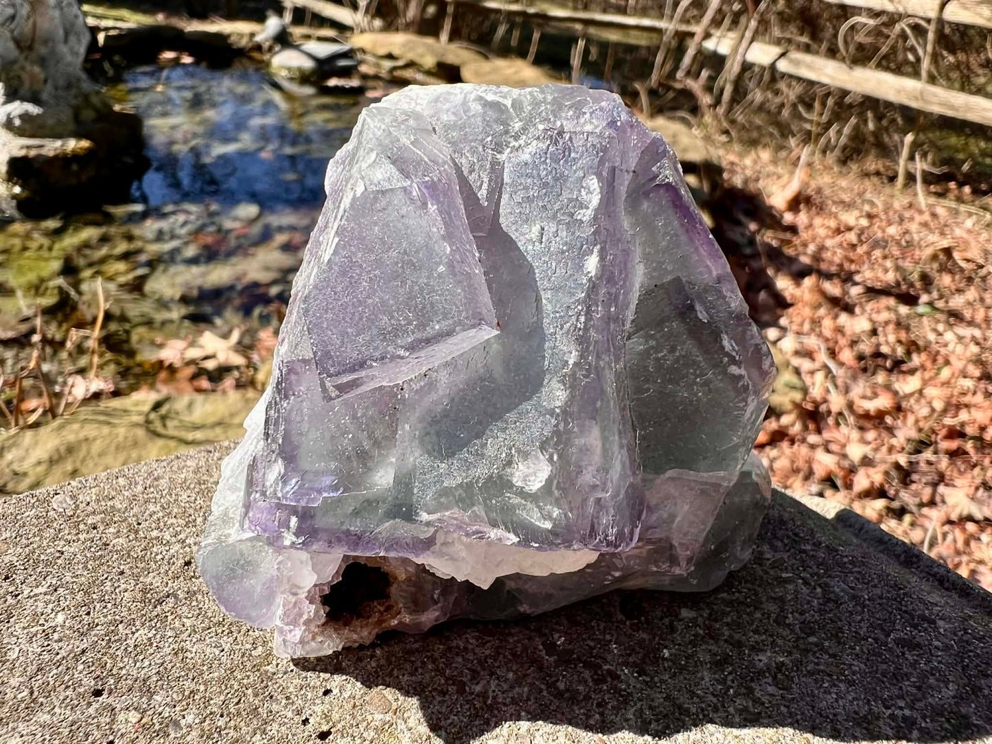 Rainbow Fluorite Specimen - Gem Realm 