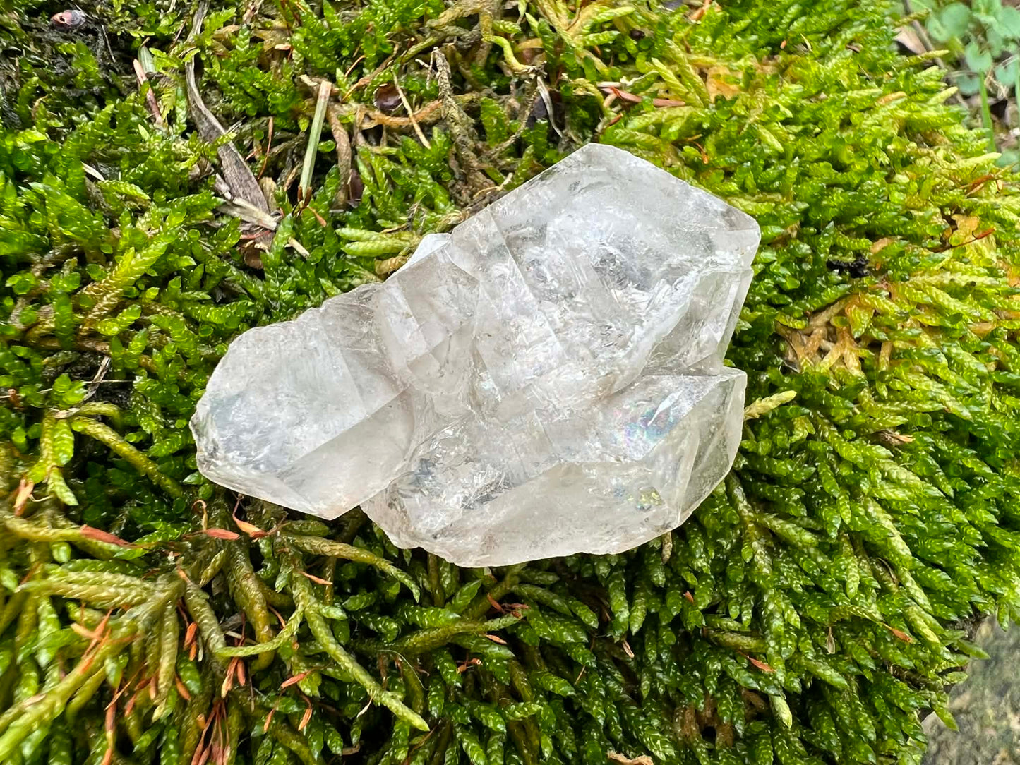 Smoky Elestial Quartz Specimen #11 - Gem Realm 