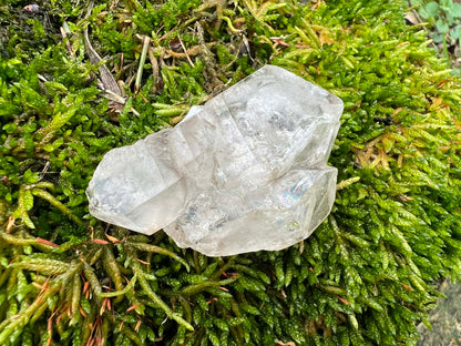 Smoky Elestial Quartz Specimen #11 - Gem Realm 