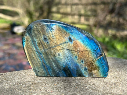 Labradorite Freeform - Gem Realm 