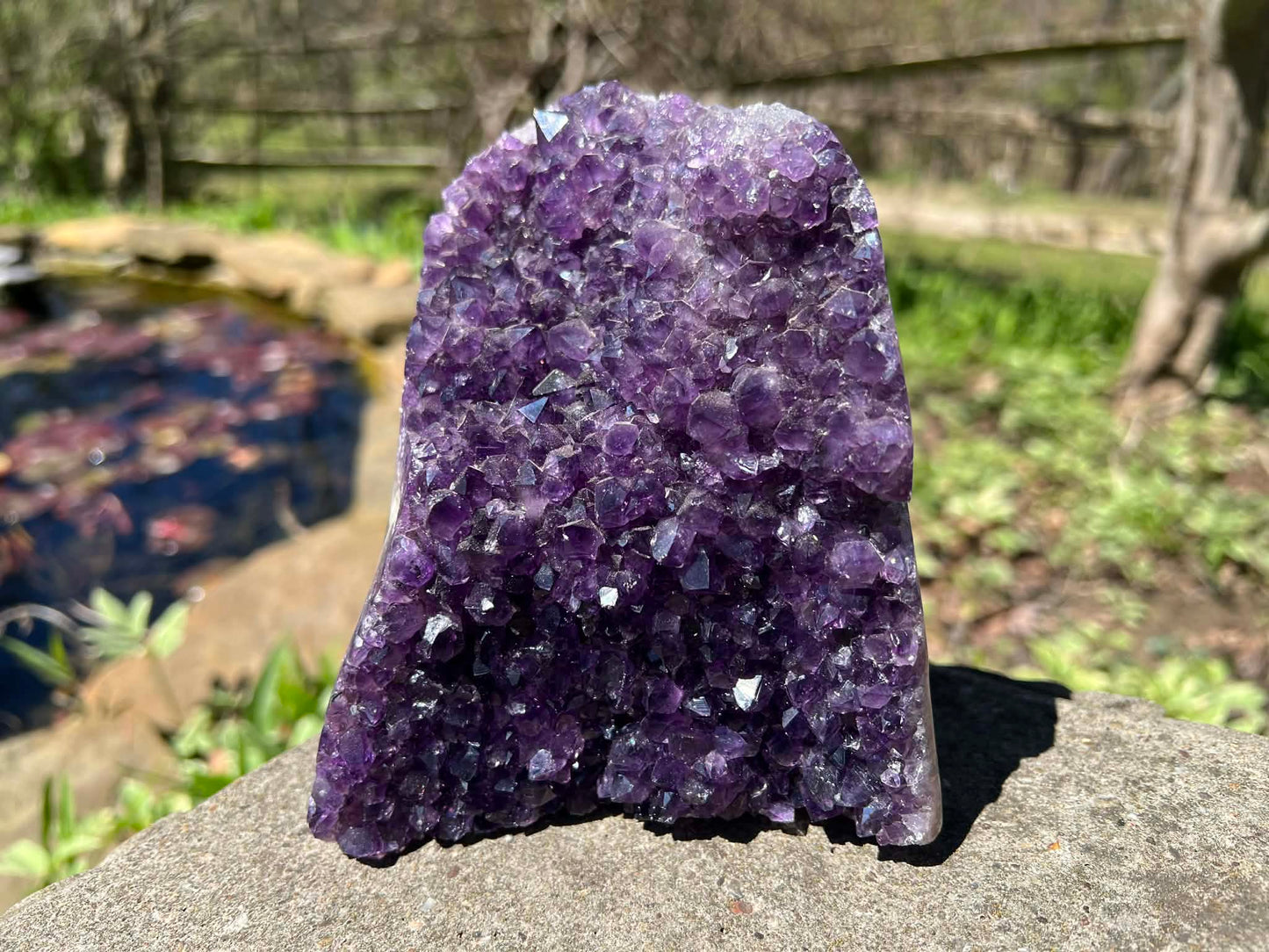 Amethyst Geode - Gem Realm 
