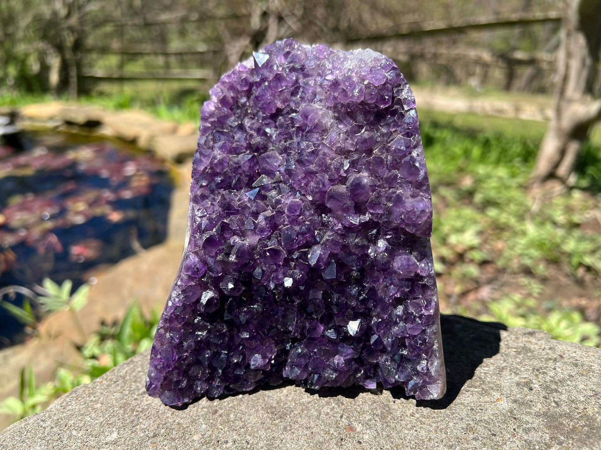 Amethyst Geode - Gem Realm 