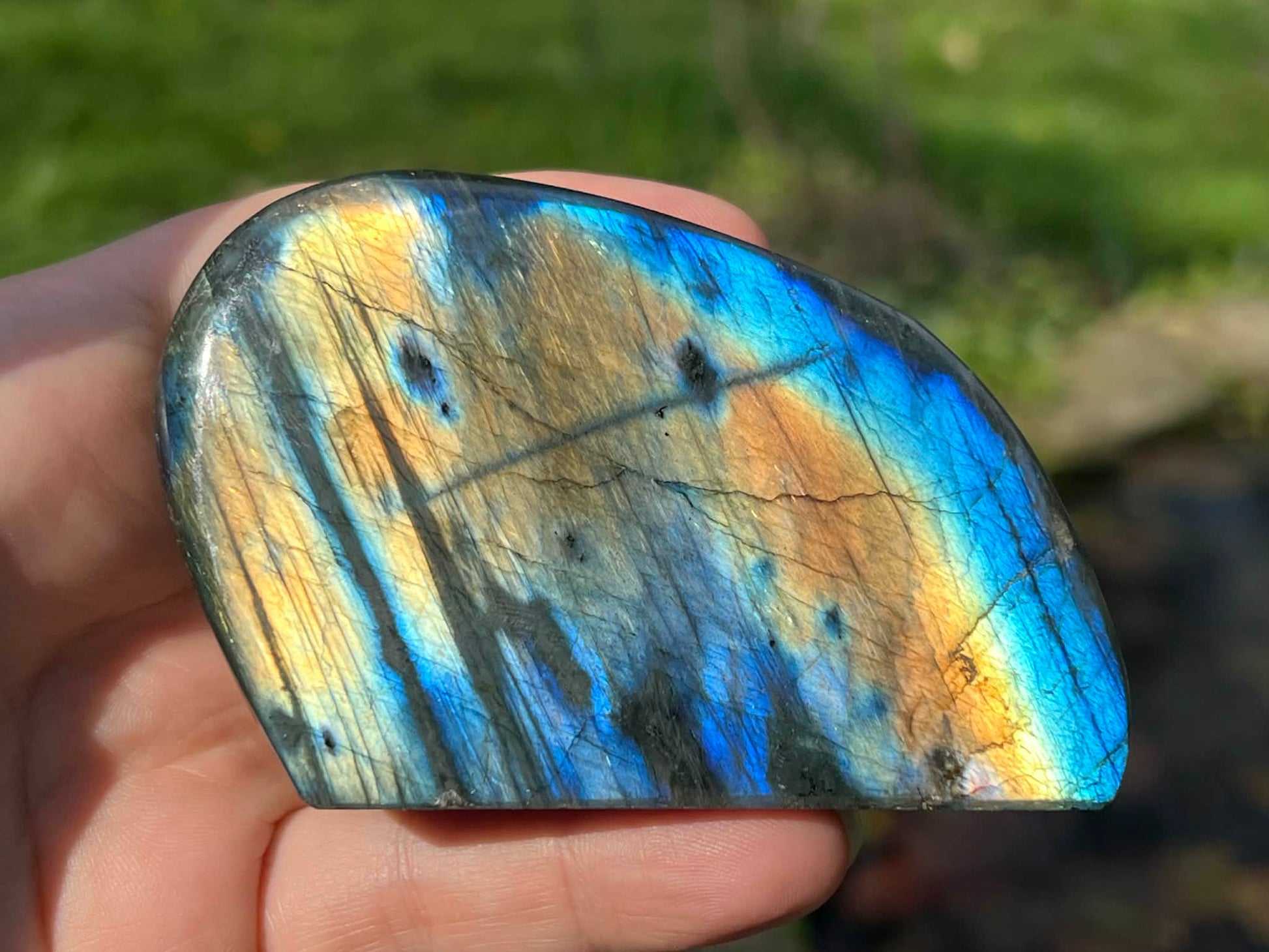 Labradorite Freeform - Gem Realm 