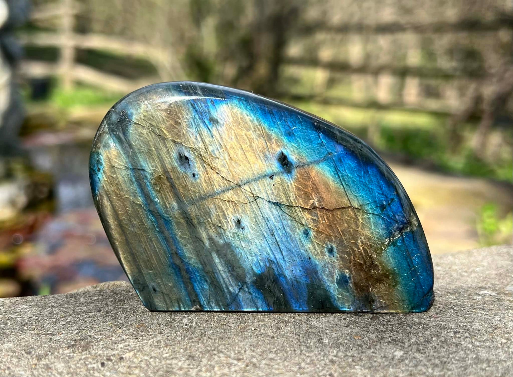 Labradorite Freeform - Gem Realm 