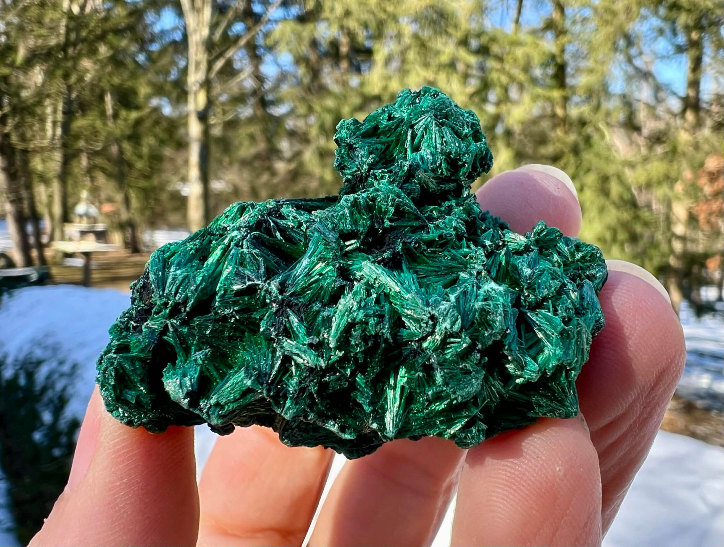 Silk Malachite Specimen #20 - Gem Realm 