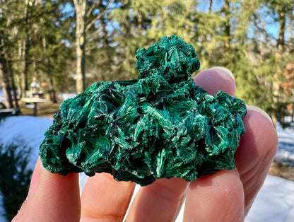 Silk Malachite Specimen #20 - Gem Realm 