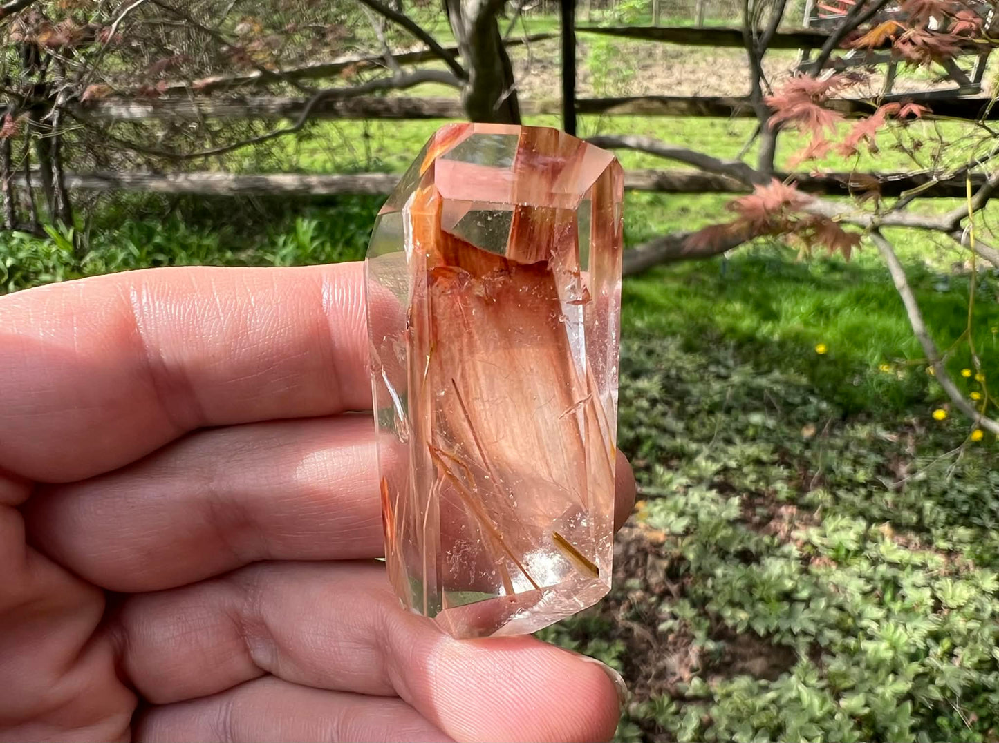 Amphibole Quartz Freeform - Gem Realm 