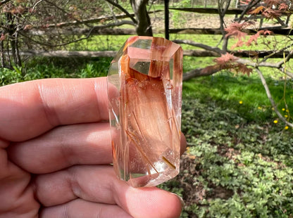 Amphibole Quartz Freeform - Gem Realm 