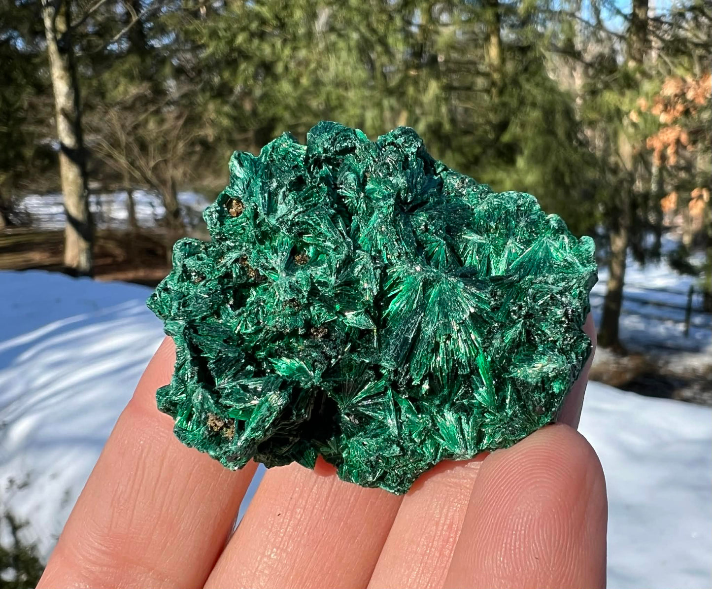 Silk Malachite Specimen #16 - Gem Realm 