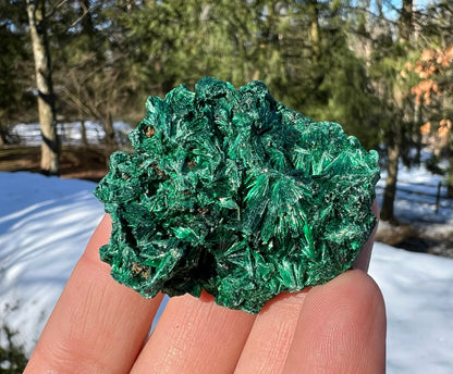 Silk Malachite Specimen #16 - Gem Realm 