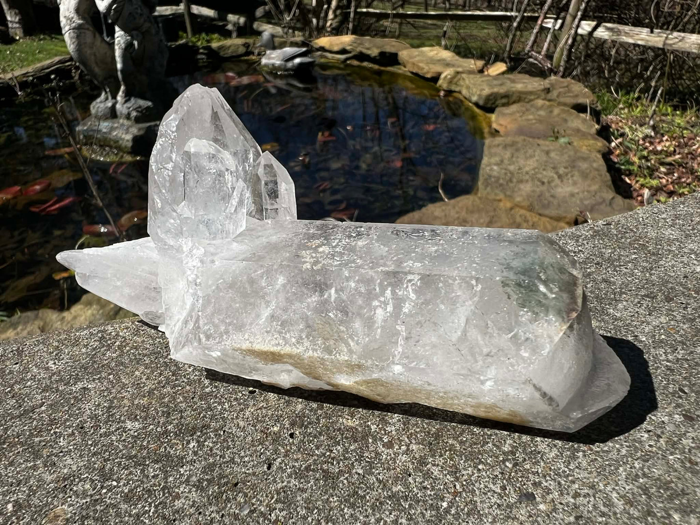 Quartz Crystal Specimen ~ with Chlorite - Gem Realm 