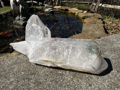 Quartz Crystal Specimen ~ with Chlorite - Gem Realm 