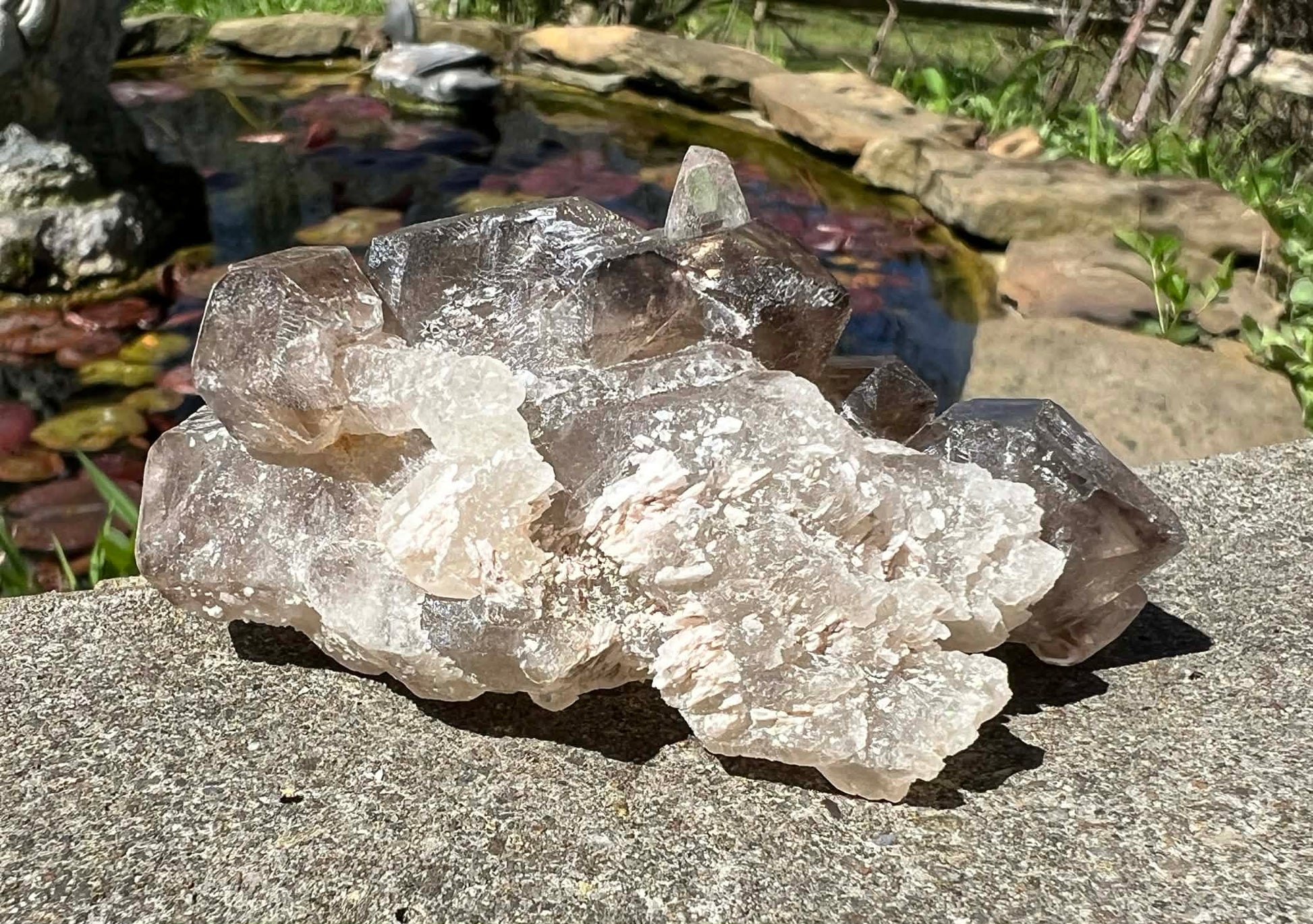 Smoky Elestial Quartz Specimen #8 - Gem Realm 