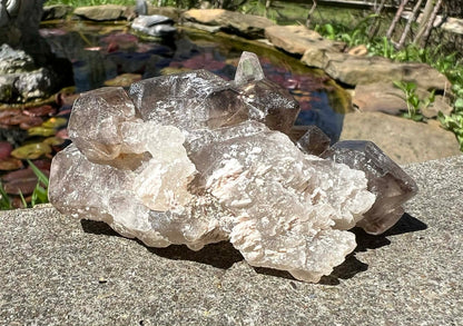 Smoky Elestial Quartz Specimen #8 - Gem Realm 