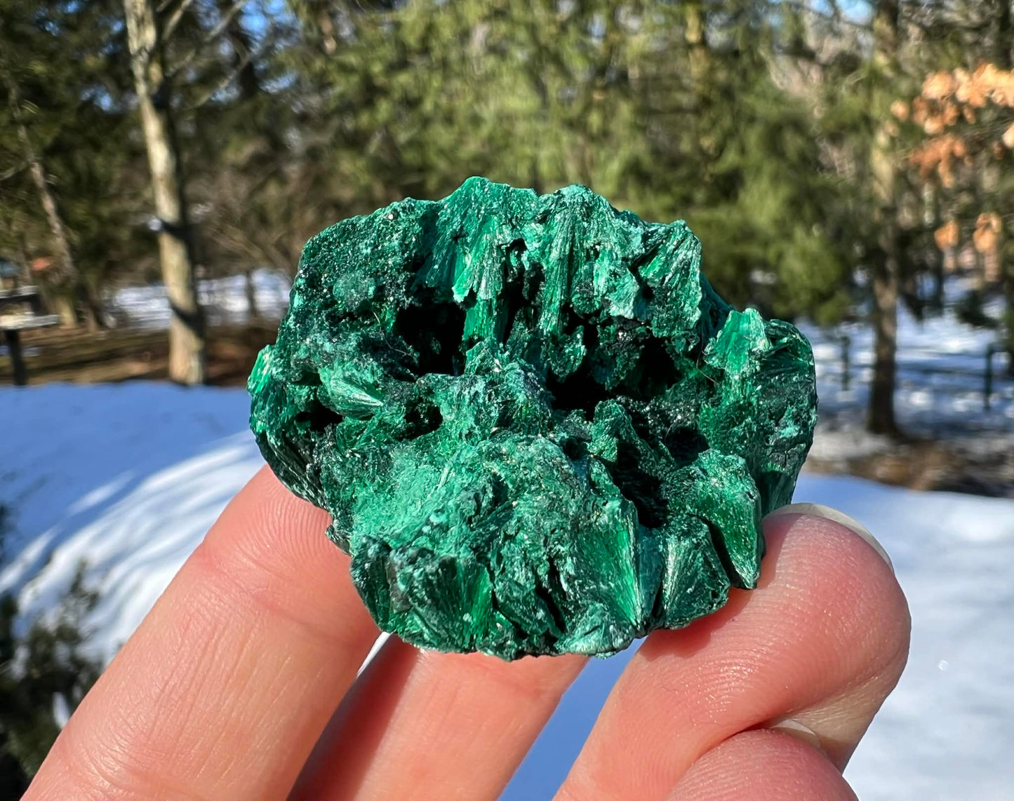 Silk Malachite Specimen #17 - Gem Realm 