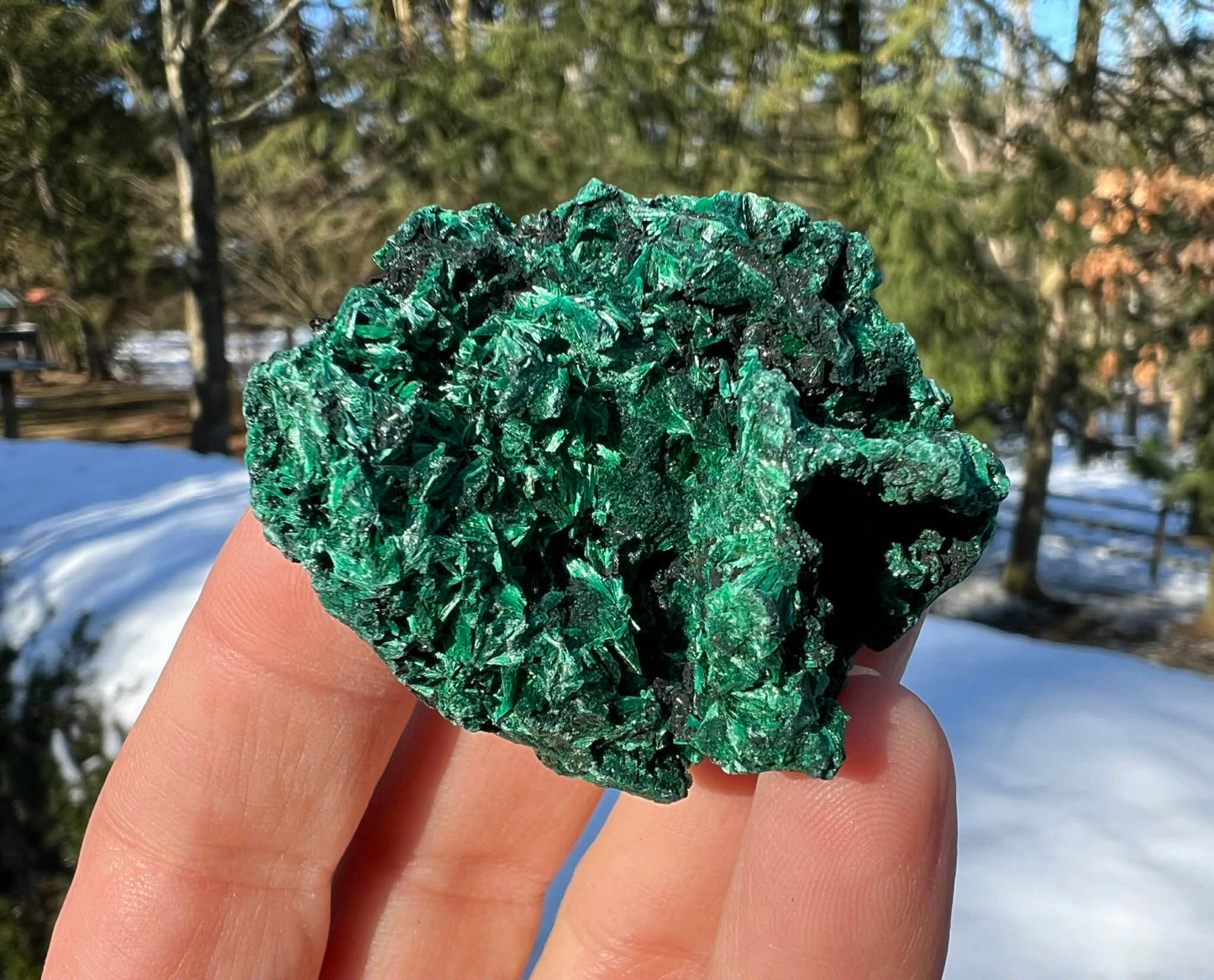 Silk Malachite Specimen #12 - Gem Realm 