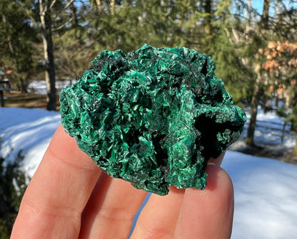 Silk Malachite Specimen #12 - Gem Realm 