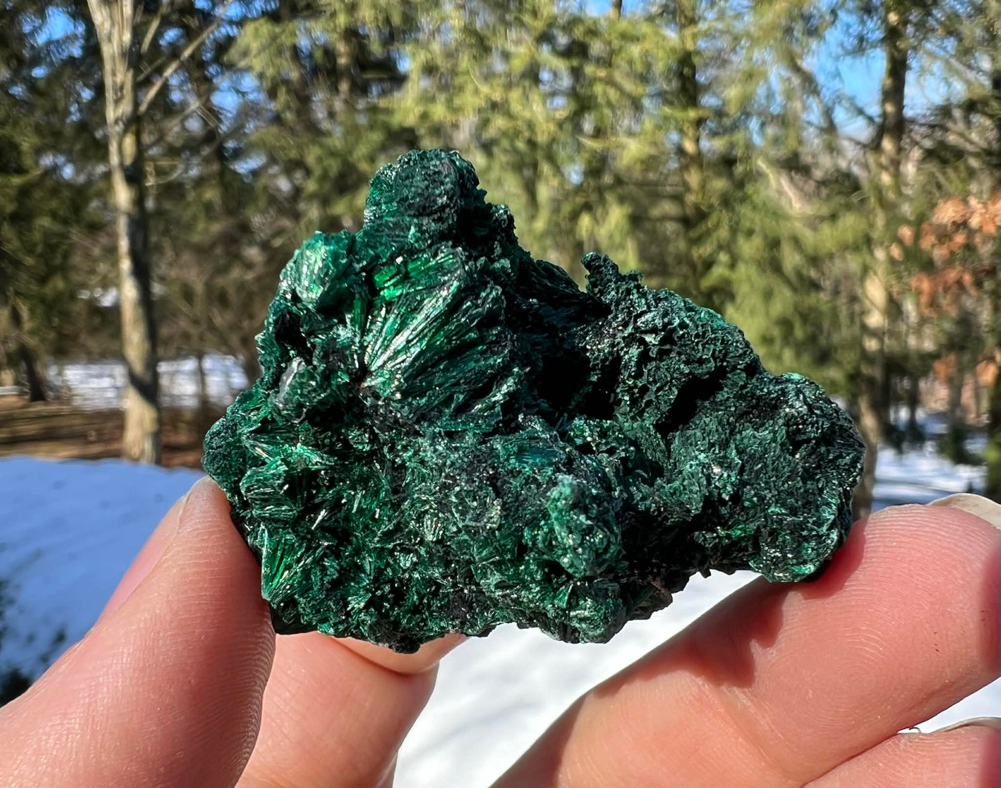 Silk Malachite Specimen #20 - Gem Realm 