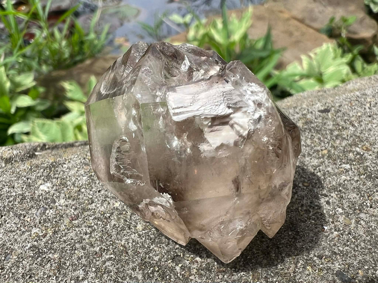 Smoky Elestial Quartz Specimen #13 - Gem Realm 