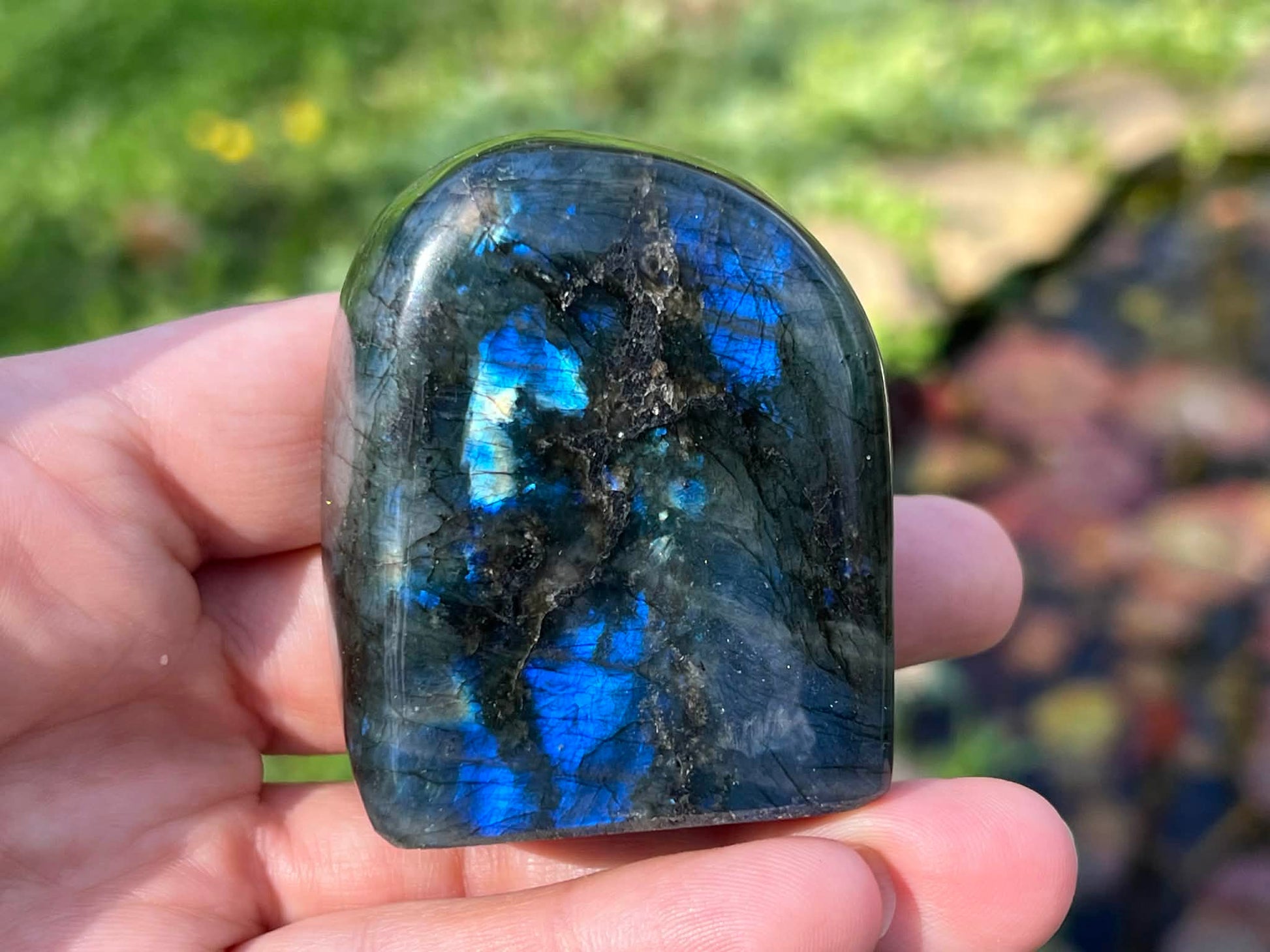 Labradorite Freeform - Gem Realm 