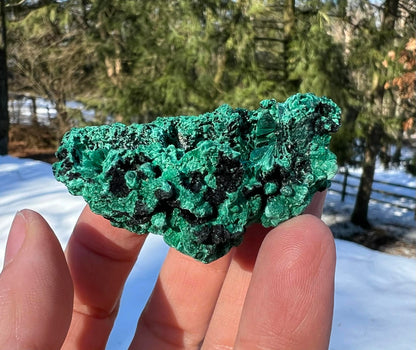 Silk Malachite Specimen #9 - Gem Realm 