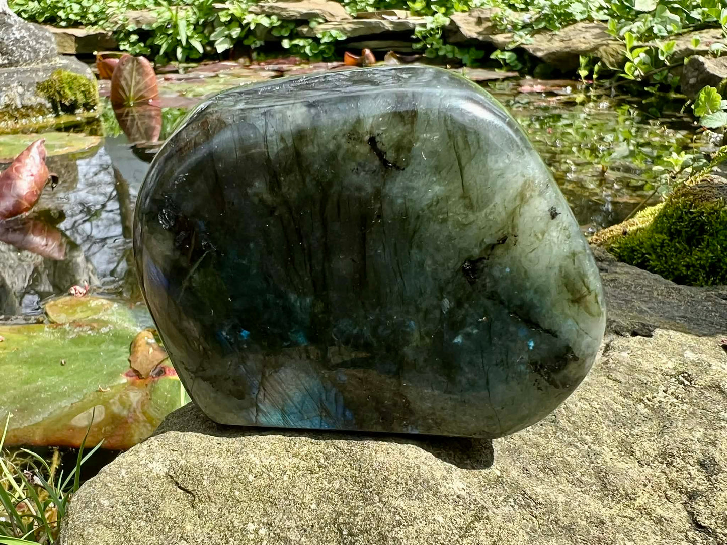 Labradorite Freeform - Gem Realm 