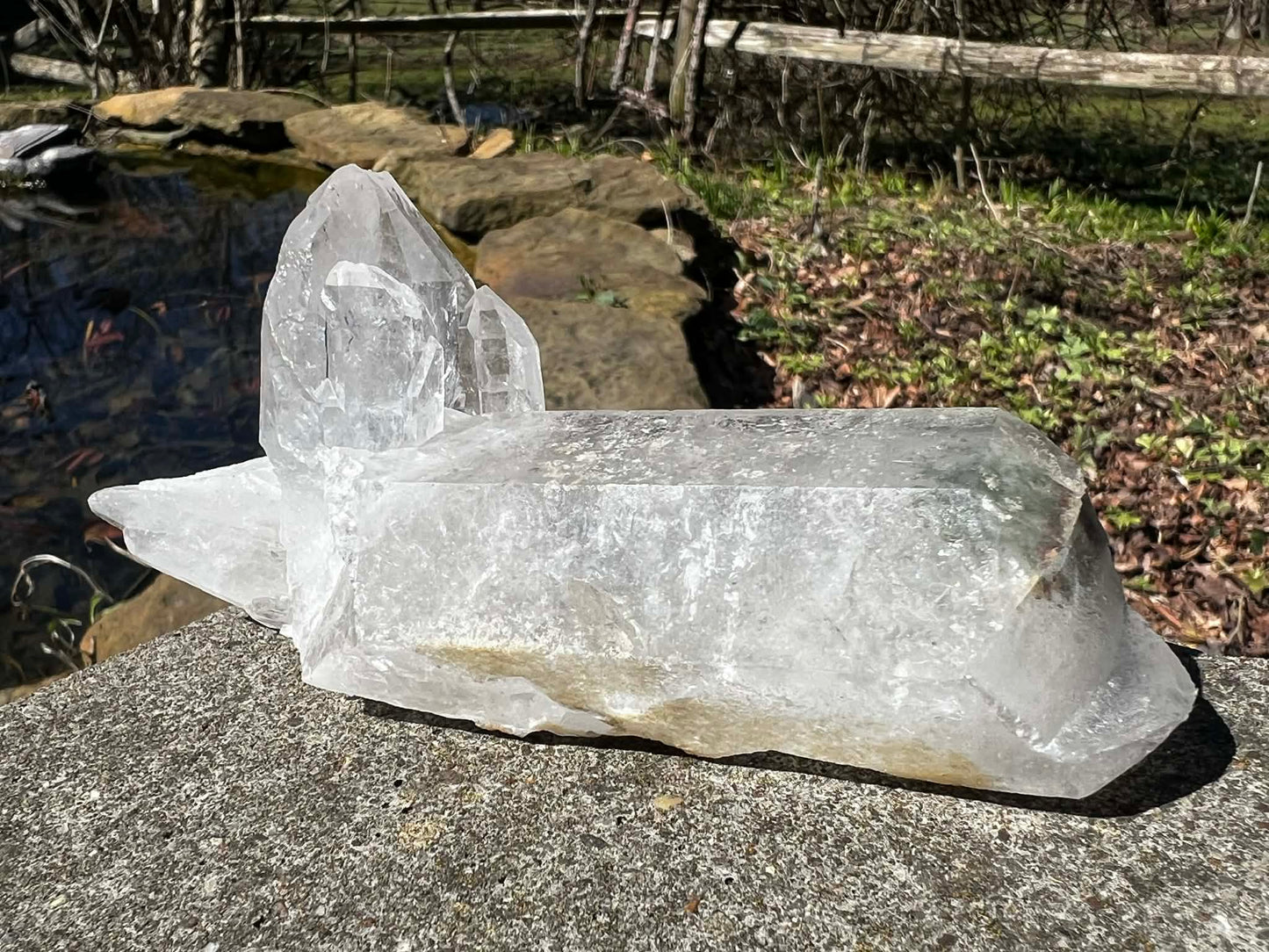 Quartz Crystal Specimen ~ with Chlorite - Gem Realm 