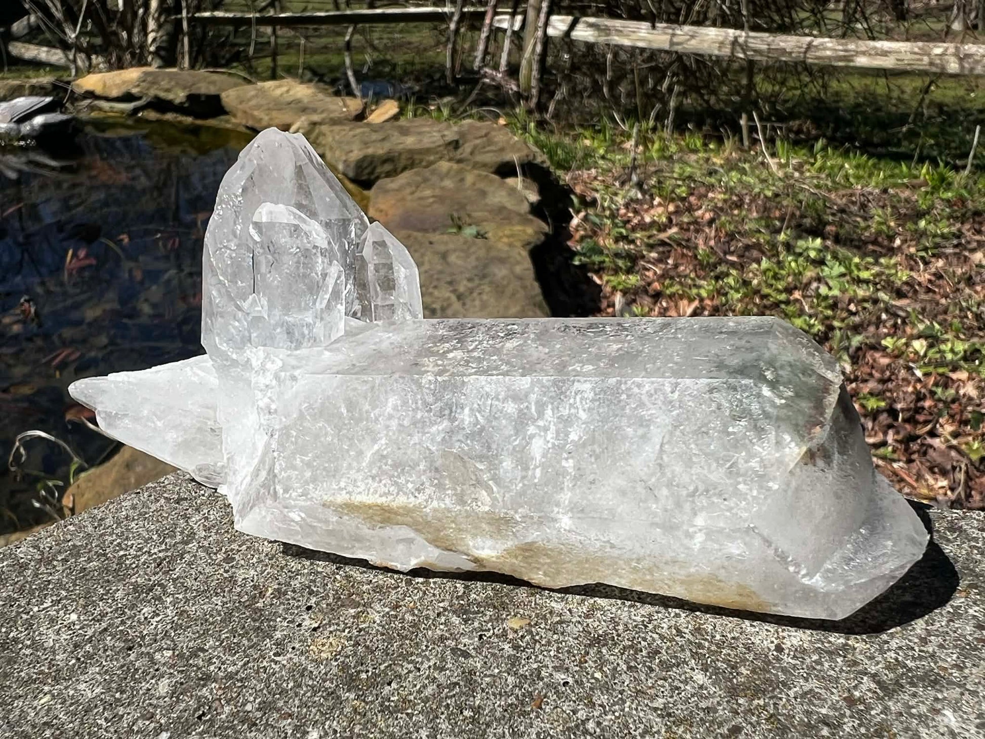 Quartz Crystal Specimen ~ with Chlorite - Gem Realm 