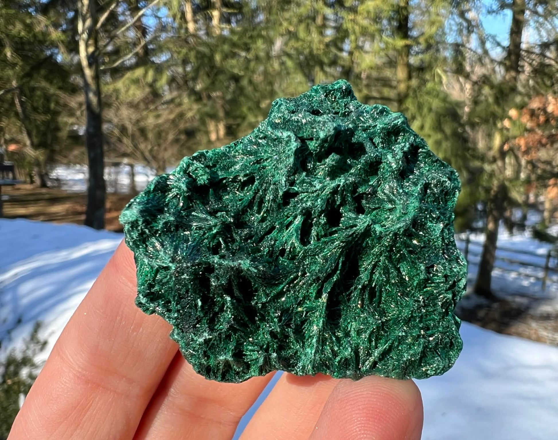 Silk Malachite Specimen #10 - Gem Realm 