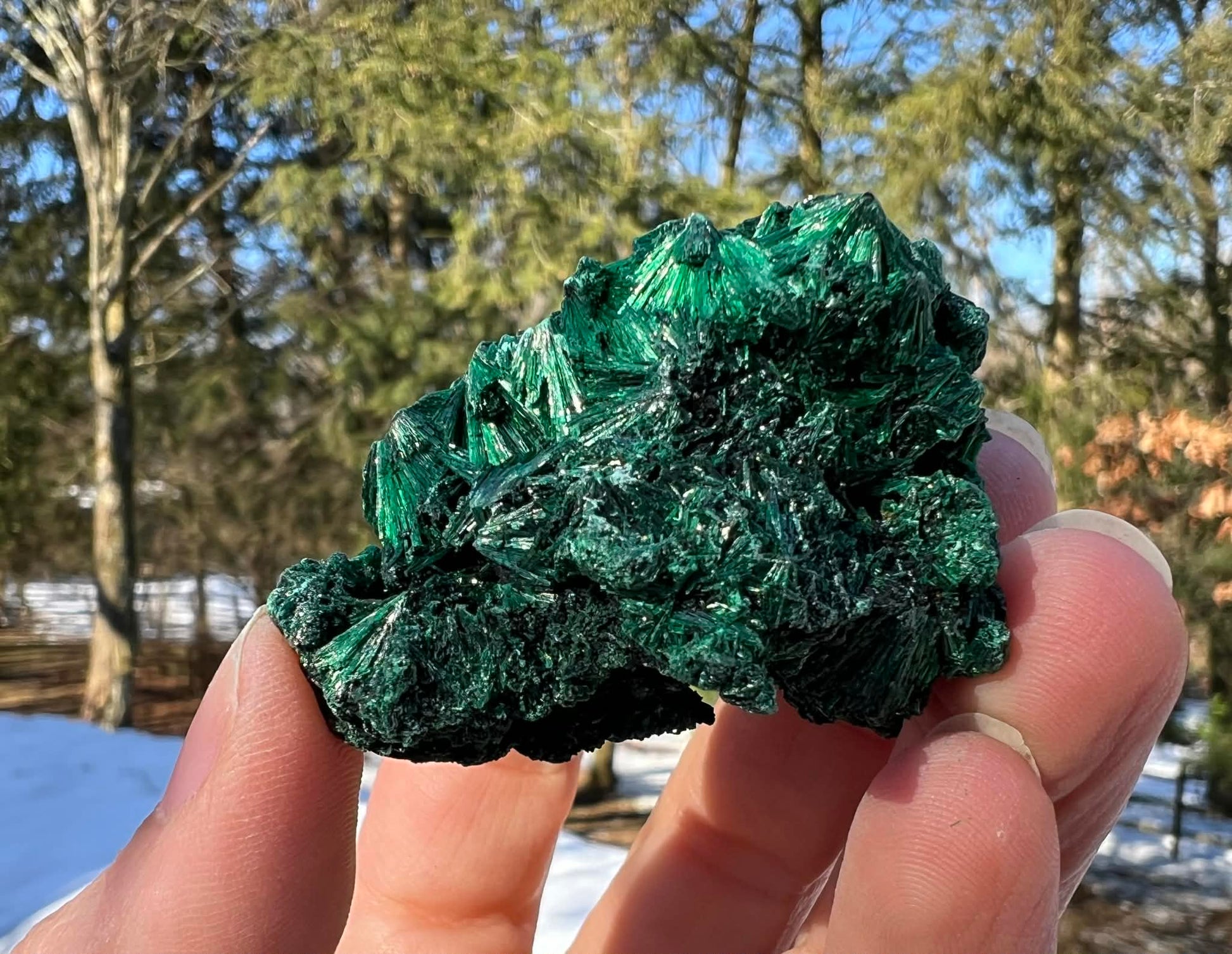 Silk Malachite Specimen #20 - Gem Realm 