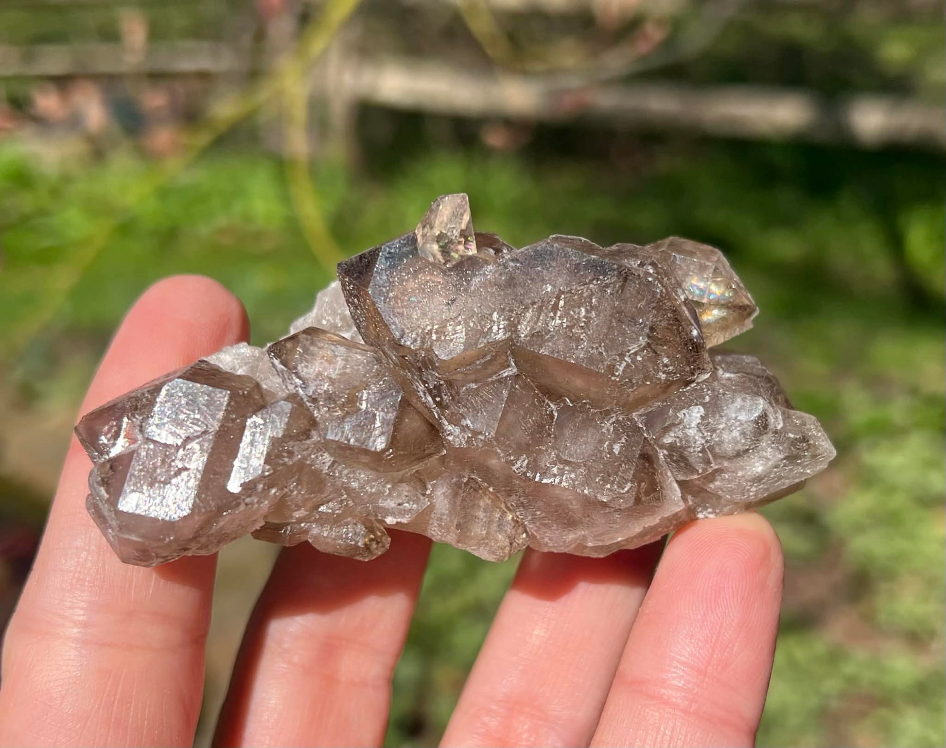 Smoky Elestial Quartz Specimen #8 - Gem Realm 