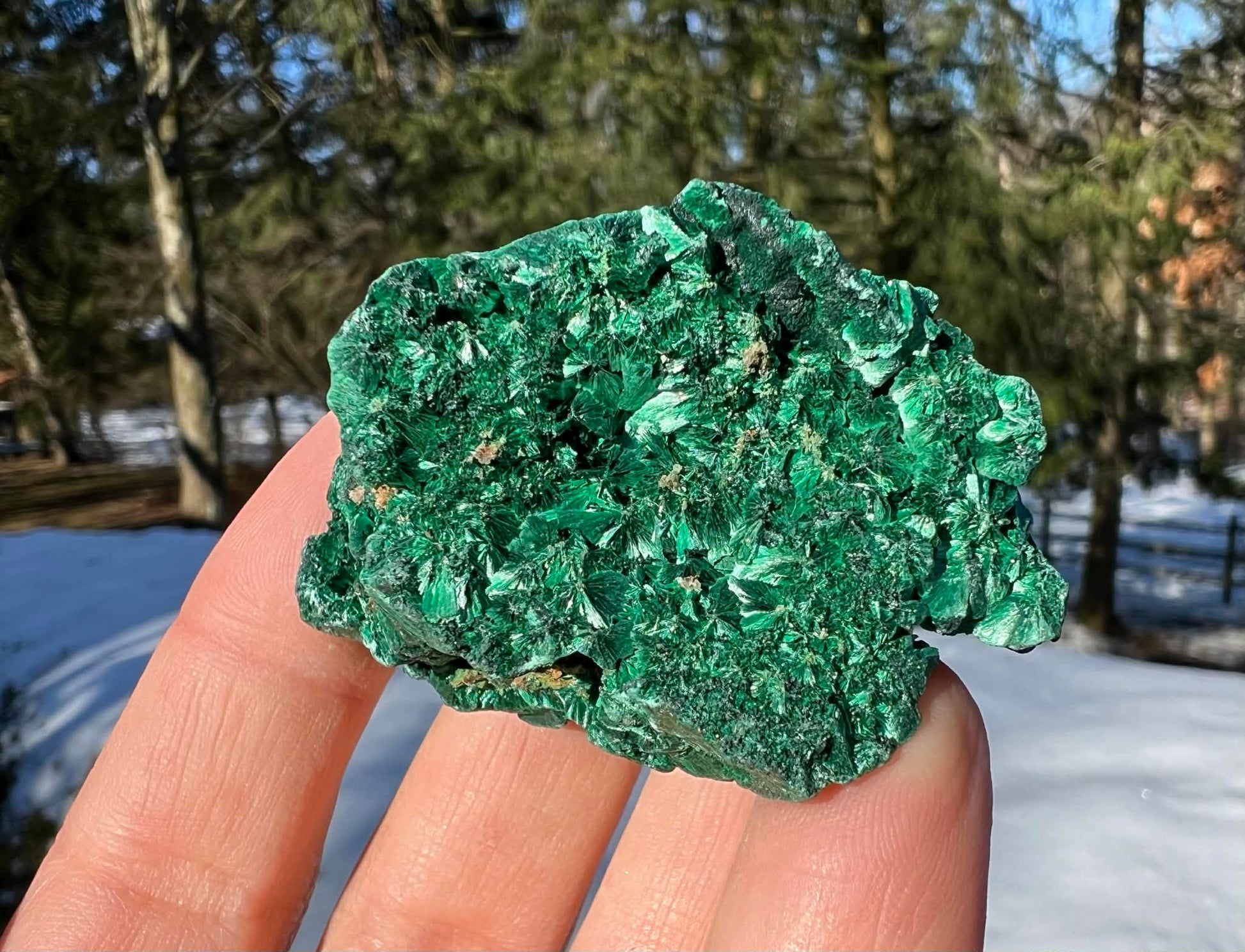 Silk Malachite Specimen #14 - Gem Realm 