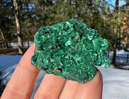 Silk Malachite Specimen #14 - Gem Realm 
