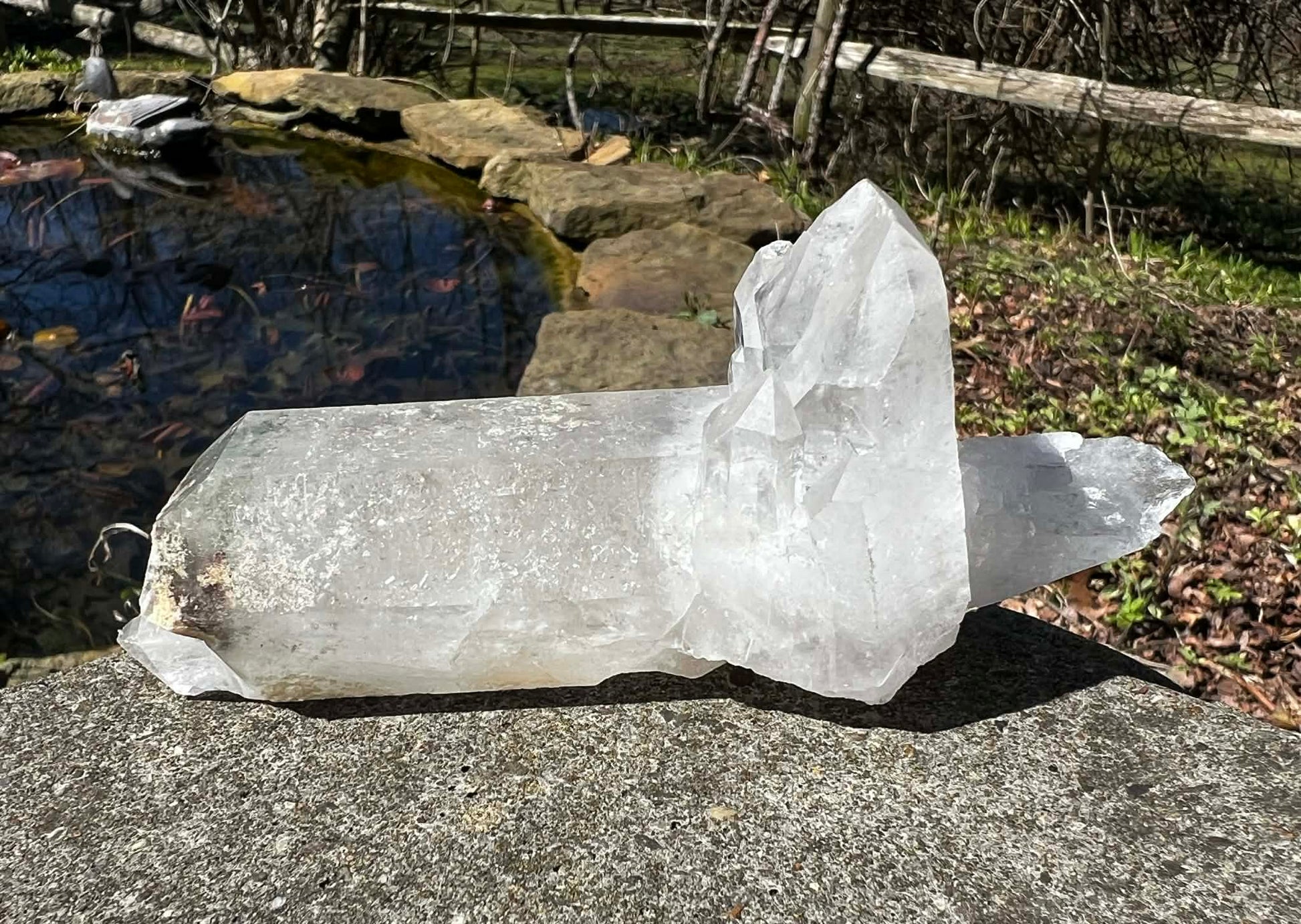 Quartz Crystal Specimen ~ with Chlorite - Gem Realm 