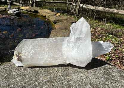 Quartz Crystal Specimen ~ with Chlorite - Gem Realm 