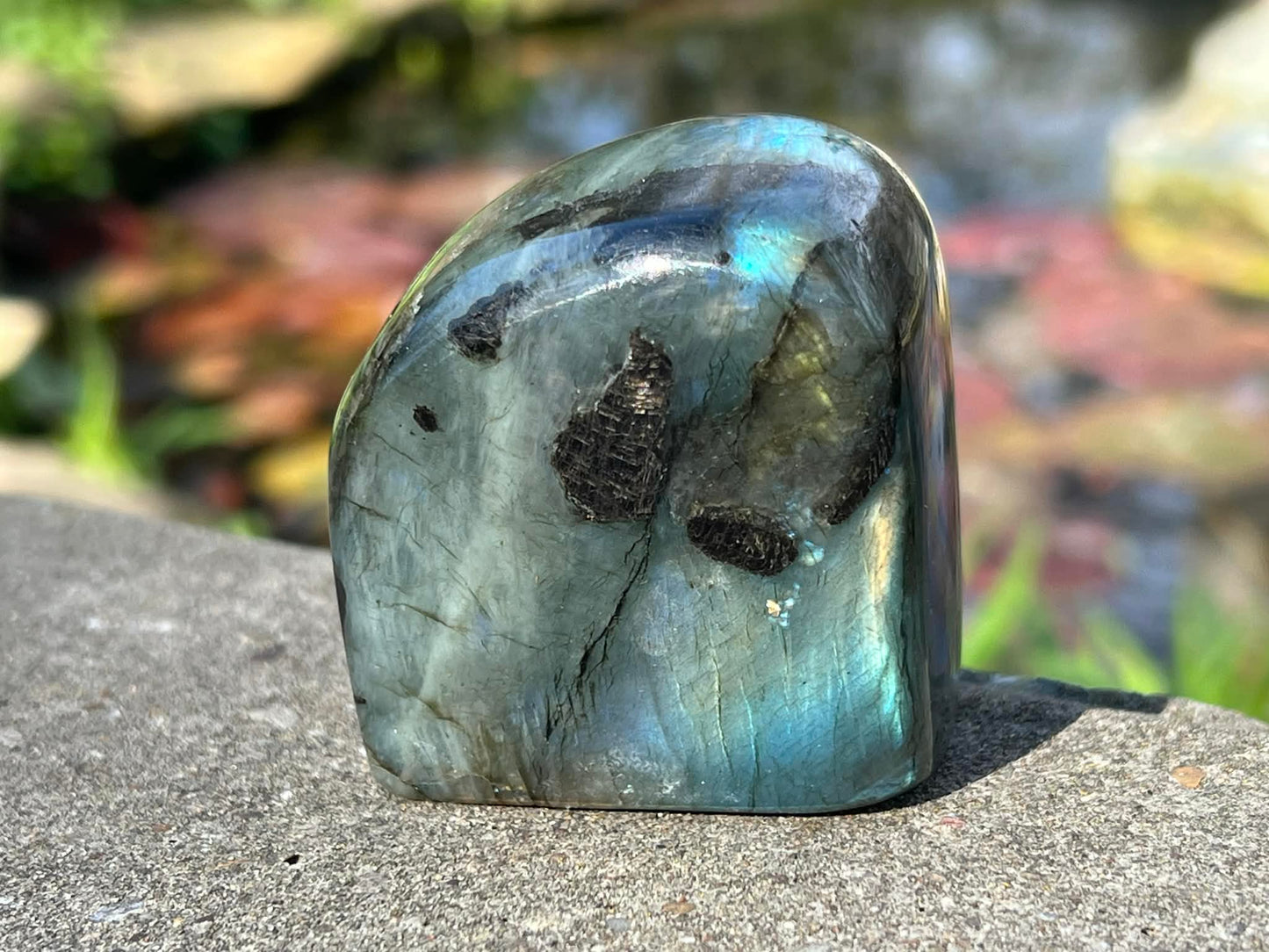 Labradorite Freeform - Gem Realm 