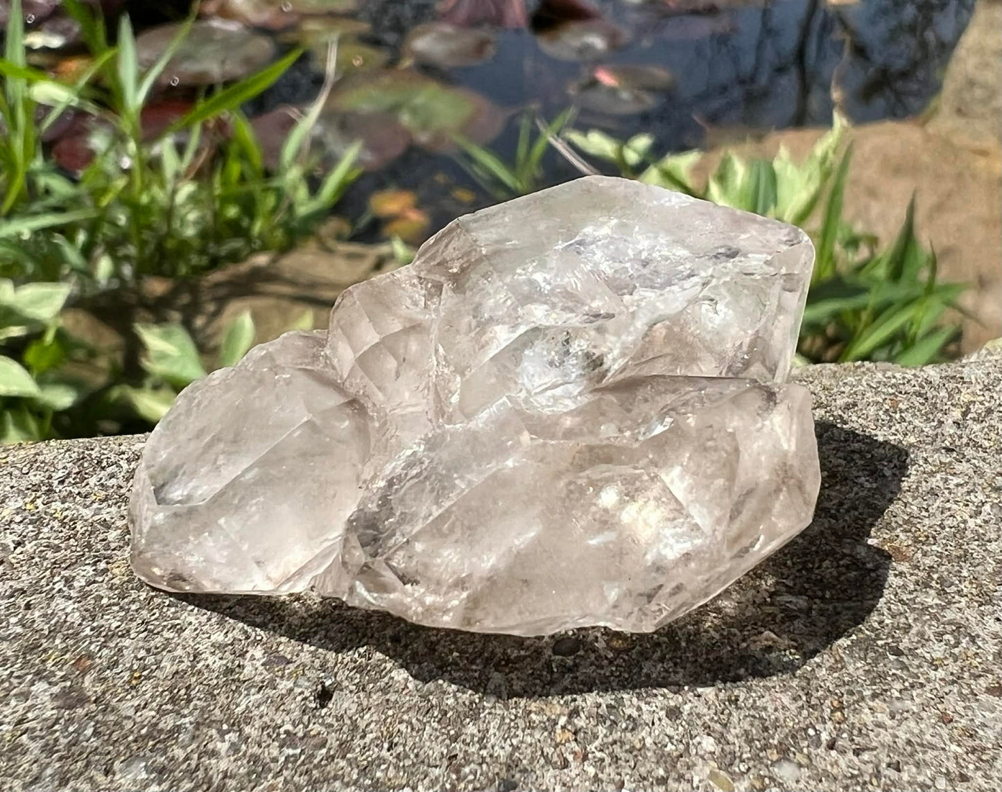 Smoky Elestial Quartz Specimen #11 - Gem Realm 