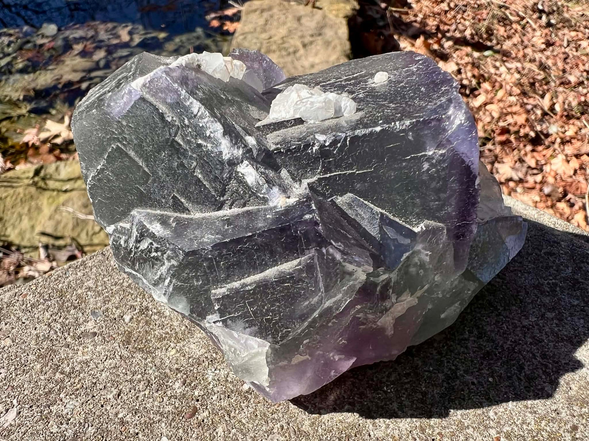 Rainbow Fluorite Specimen - Gem Realm 