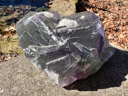 Rainbow Fluorite Specimen - Gem Realm 