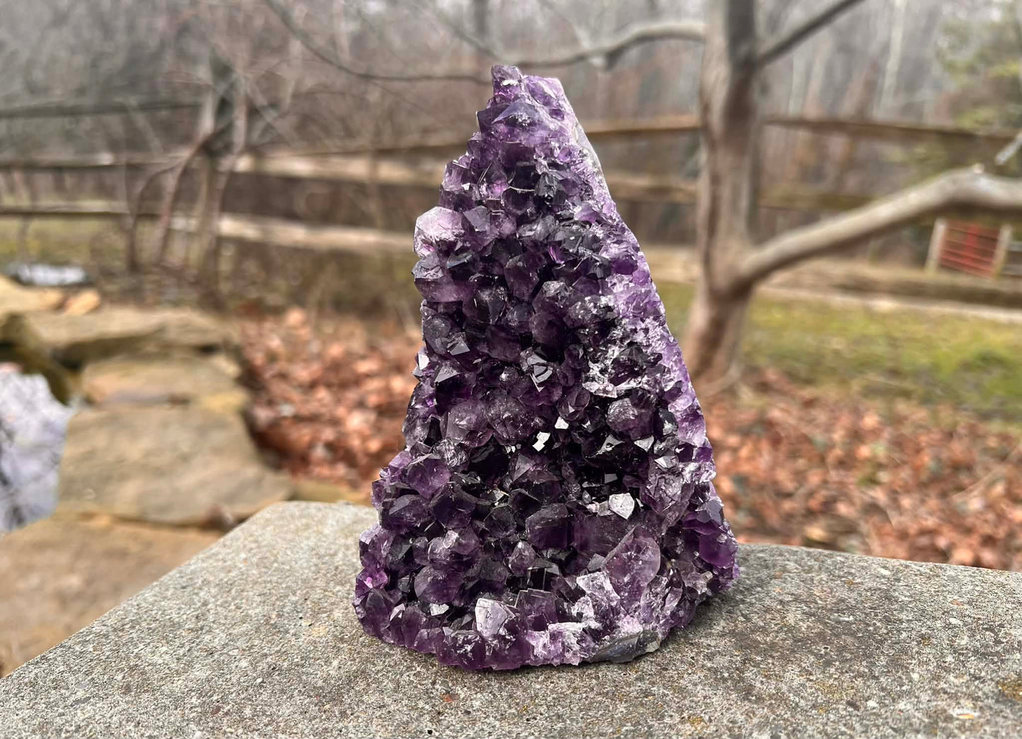 Amethyst Geode - Gem Realm 