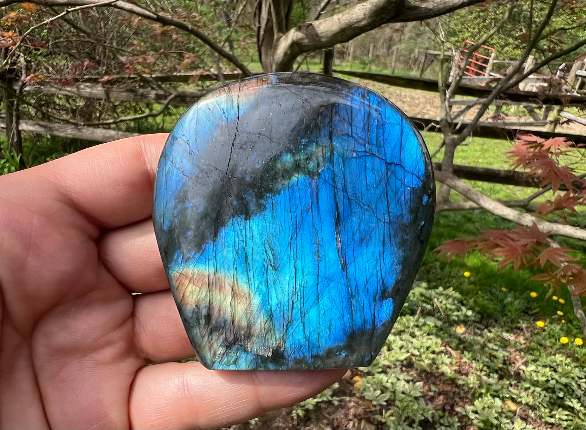 Labradorite Freeform - Gem Realm 