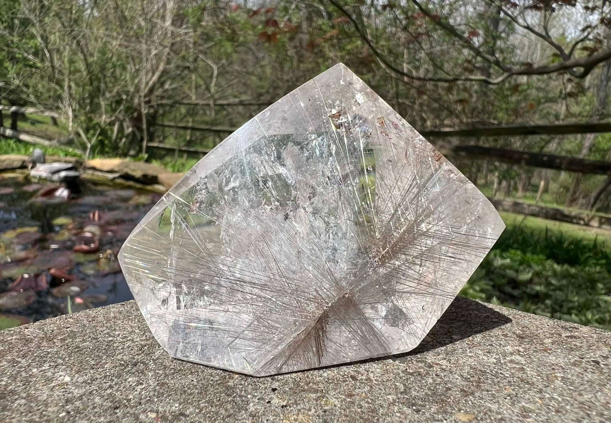 Rutilated Quartz Freeform - Gem Realm 