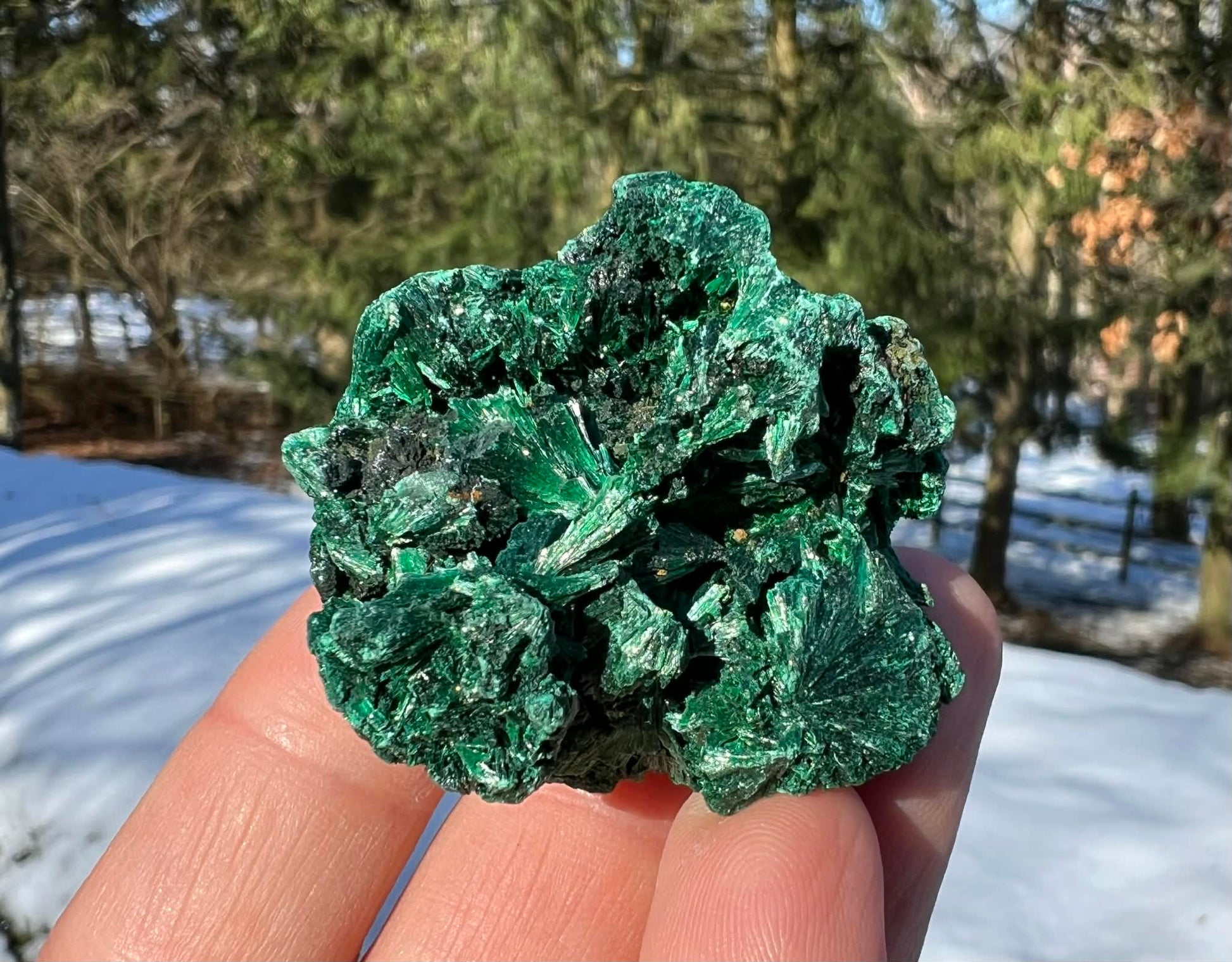 Silk Malachite Specimen #15 - Gem Realm 