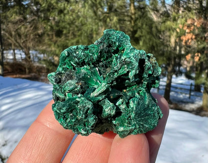 Silk Malachite Specimen #15 - Gem Realm 