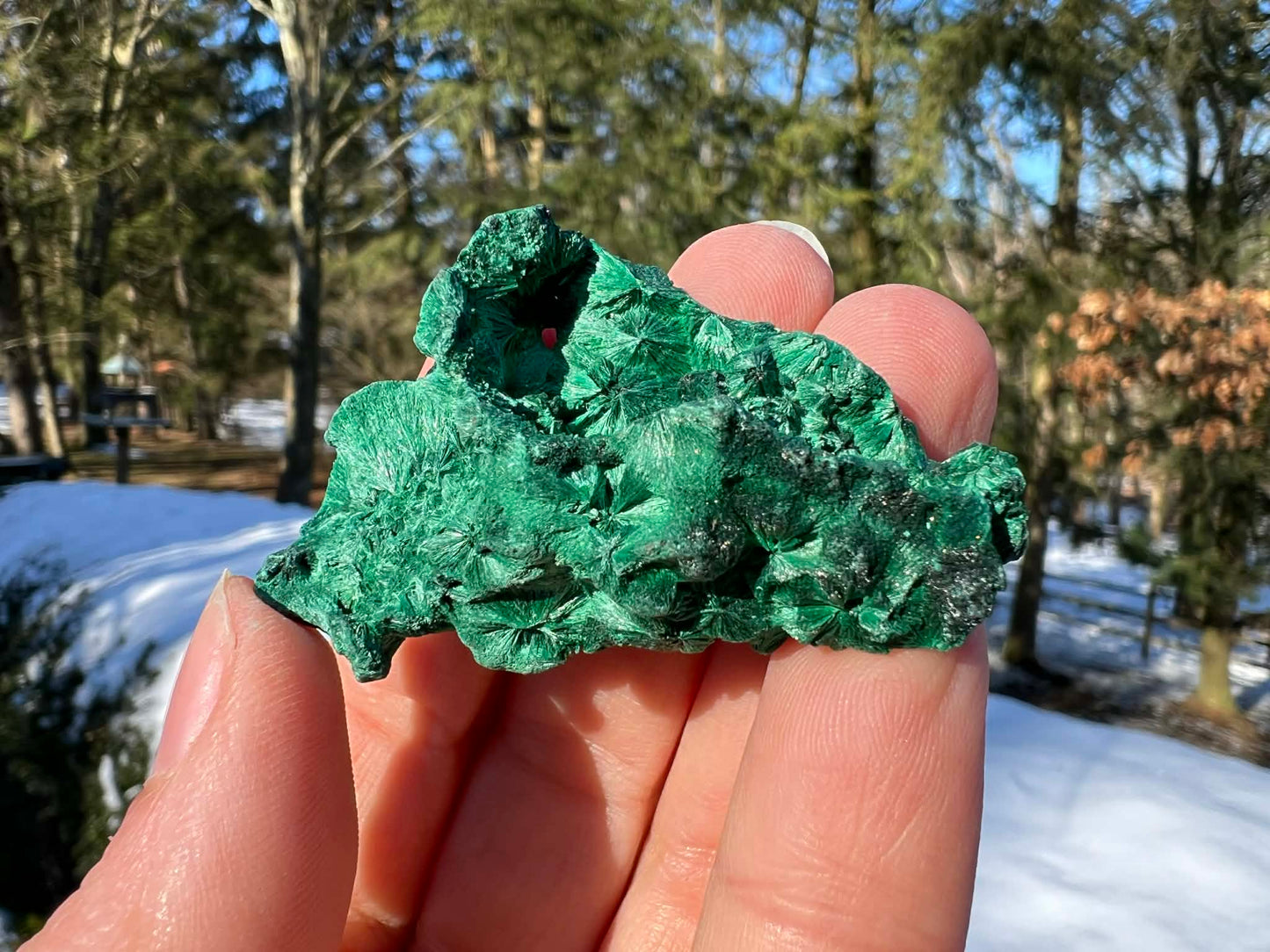 Silk Malachite Specimen #11 - Gem Realm 