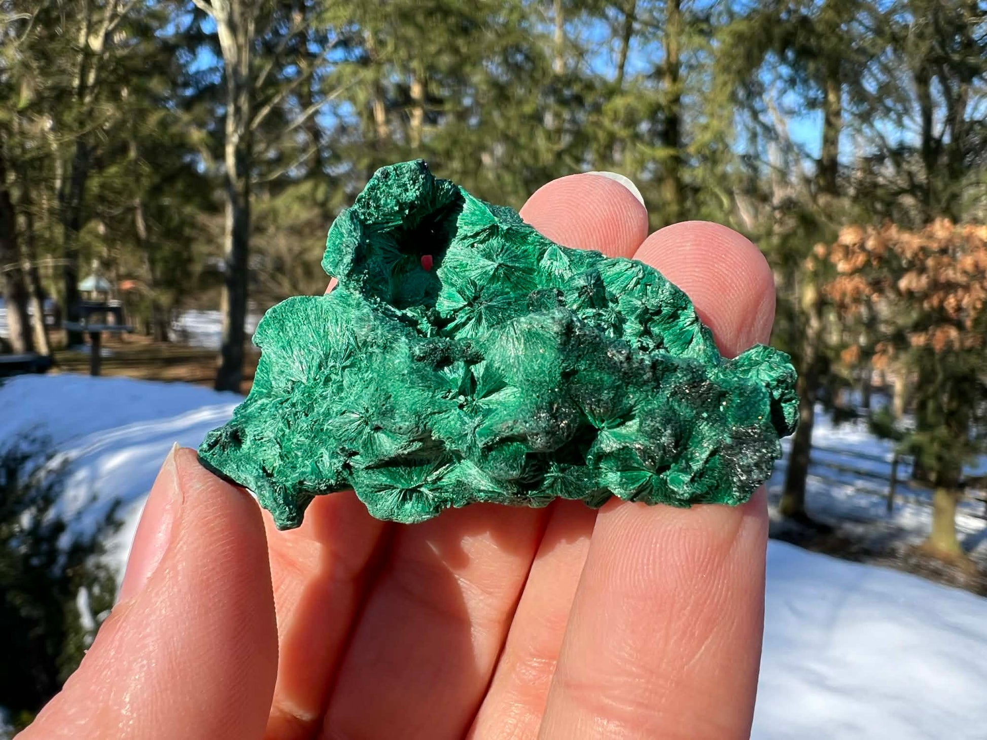 Silk Malachite Specimen #11 - Gem Realm 