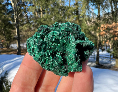 Silk Malachite Specimen #12 - Gem Realm 