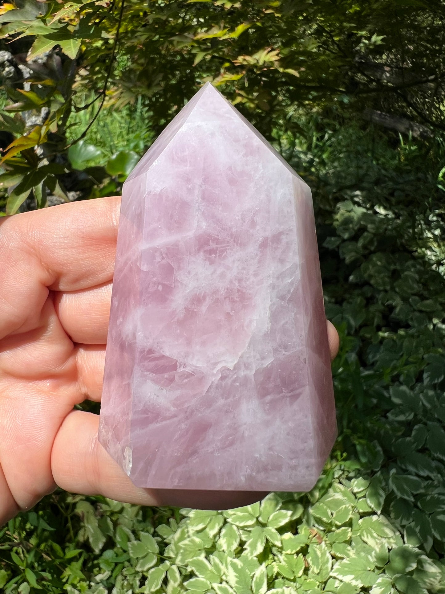 Rose Quartz Tower